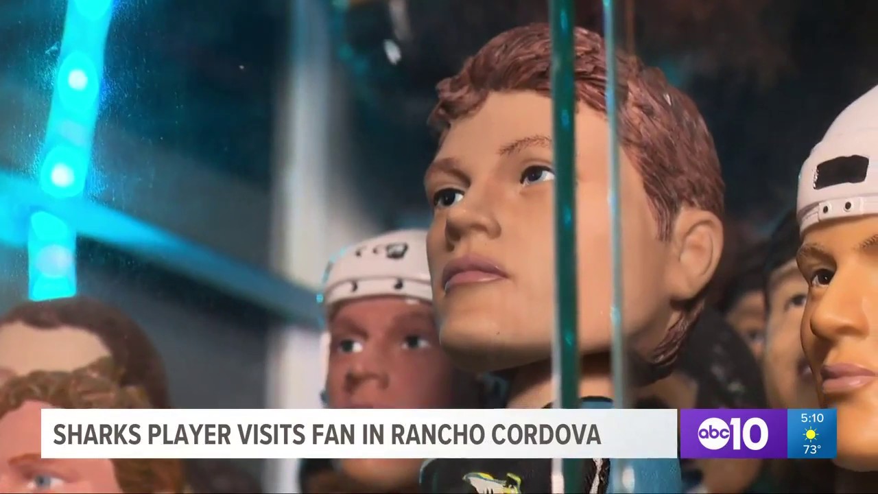 san jose sharks memorabilia