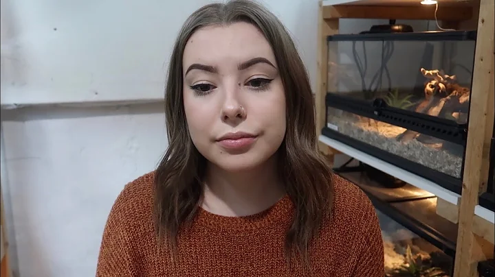 Ho trovato una nuova casa per Sunny, il mio coniglio domestico