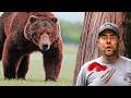 Gun vs bear spray  the ultimate debate