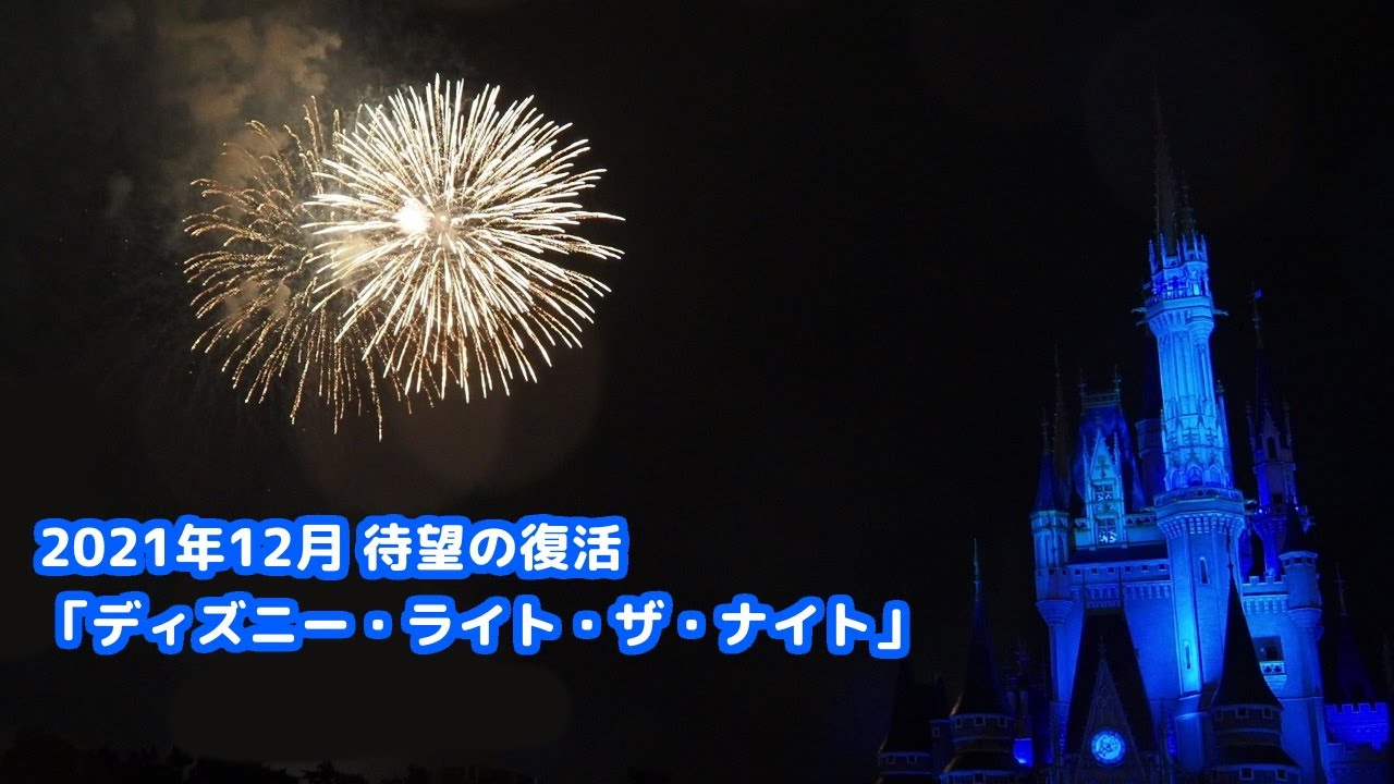 12月最新 ディズニーランド入場レポ 前編 パークの混雑状況 スタンバイパスなど