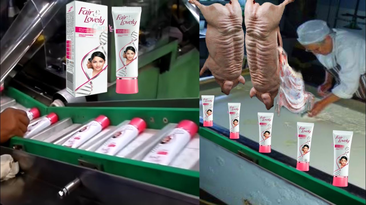 देखिये फैक्टरी मे Fair & Lovely क्रीम कैसे बनती है || See how these products are made in the factory