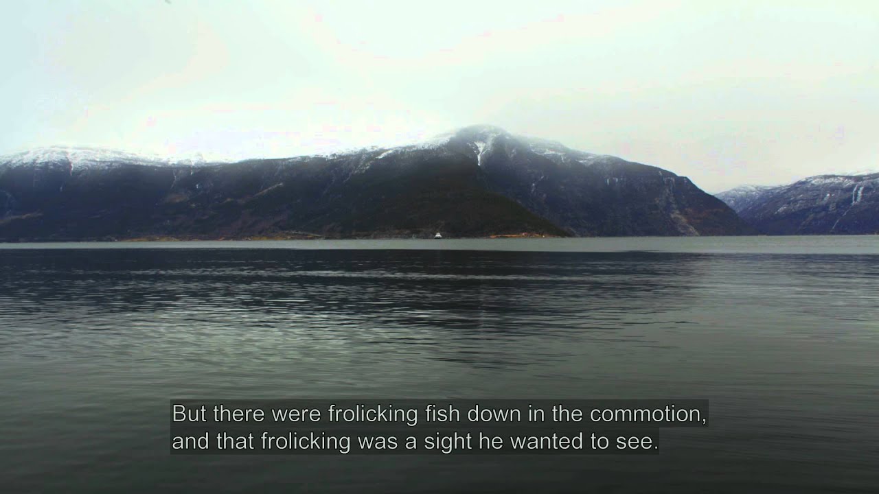 Mellom Bakkar og Berg