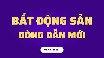 Nhận định thị trường chứng khoán hàng ngày | Phân tích vnindex hôm nay, bất động sản - nhóm dẫn sóng