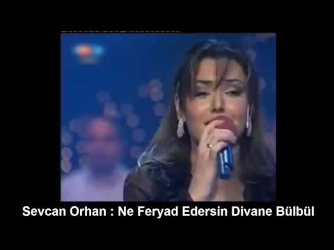 SEVCAN ORHAN : NE FERYAD EDERSİN DİVANE BÜLBÜL