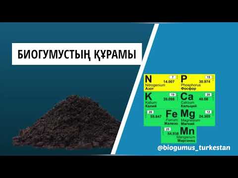 Бейне: Элементтердің қандай түрлері бар?