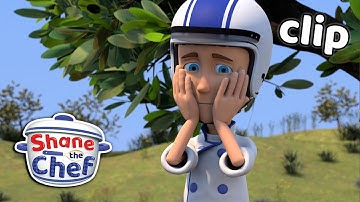 Lunch Got Squashed 🐴 | Shane the Chef Clips | Shane the Chef Official