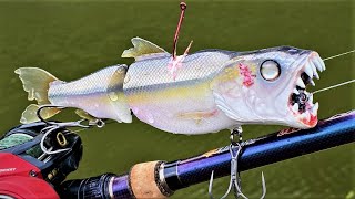 Watch What Would Try To Eat This? Making a Gnarly CreekChub