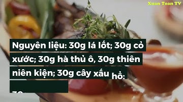 Cách chữa thoát vị đĩa đệm Bằng Lá Lốt Cực kỳ Hiệu quả| Trần Xuân Toàn