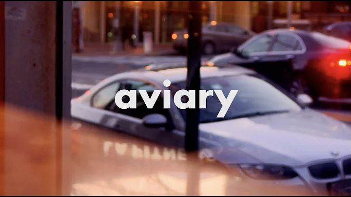 Aviary | Jake Molter