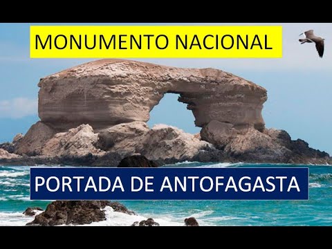 Video: Descrizione e foto del Museo Geologico (Museo Geologico) - Cile: Antofagasta