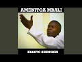 Amenitoa Mbali