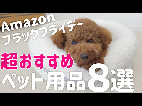 【これは買い!】Amazonブラックフライデーで絶対購入したいペット用品8選