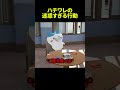 ハチワレの迷惑すぎる行動... #ちいかわ