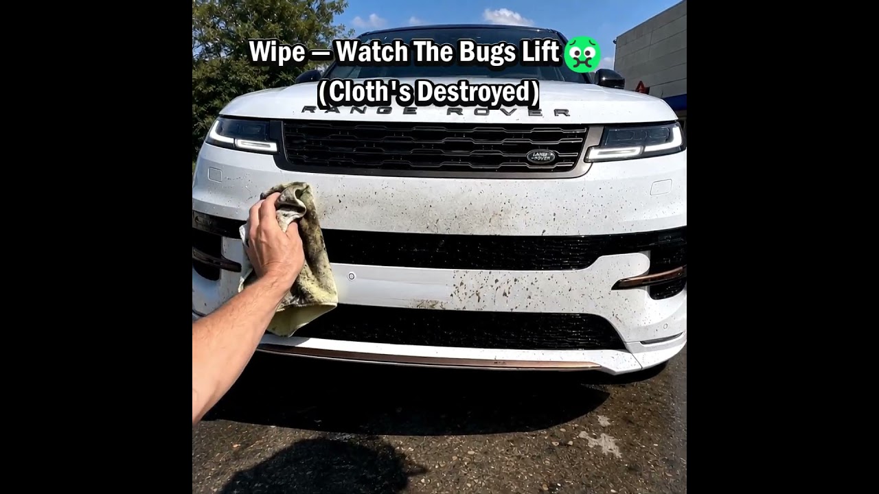 Removing bug splatter and road tar from paint