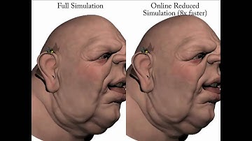Skipping Steps in Deformable Simulation with Online Model Reduction (2009)