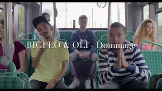 Video thumbnail of "Bigflo & Oli - Dommage - Lyrics"