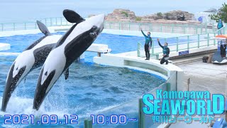 ◆鴨川シーワールド　シャチパフォーマンス（2021．09．12）10：00~ ◆【4K60P】