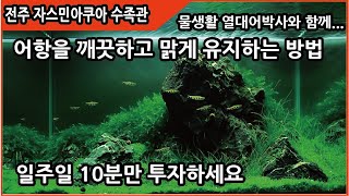 일주일 10분투자하면 어항 맑고 깨끗한 어항을 유지할수 있다. -열대어박사-