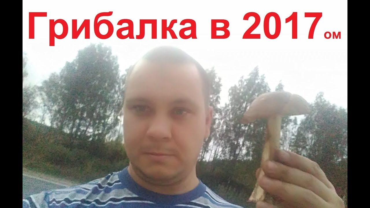 ядовитые грибы тульской области фото и описание онлайн ядовитые грибы тульской области фото и описание