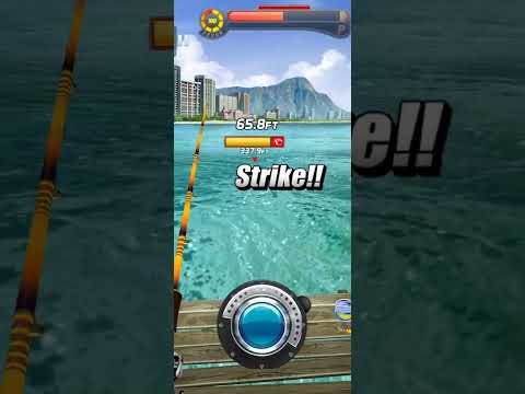 Ace Fishing wild catch part 1