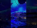 Ночные концерты на ЭКСПО 2020 Дубай.