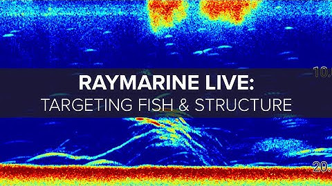 Raymarine Live:  Targeting Fish and Structure with Sonar
