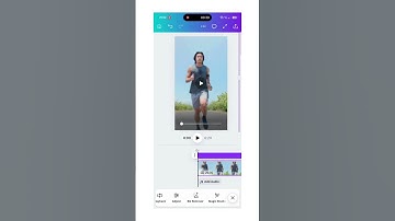 How to Make Double Exposure Videos Canva  in 1 Min