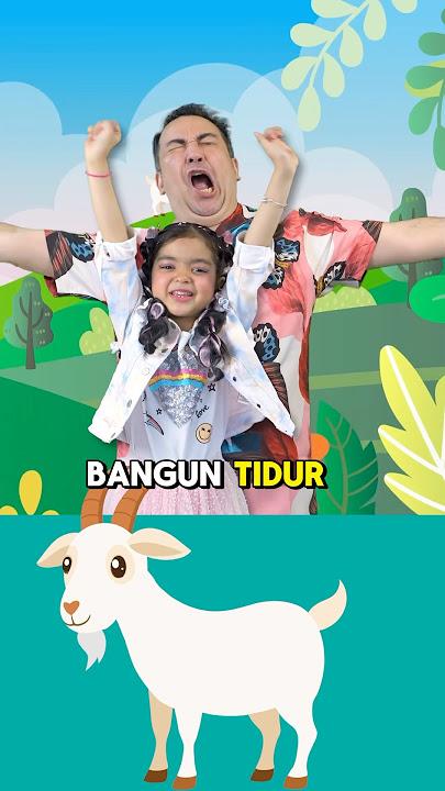 “Kambing Mbe Embe” Lagu Anak Terbaru dari Mazaya Amania #LaguMazaya #MazayaMusic #LaguAnak #edukasi