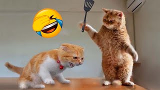 New Funny Animals 2023 🤣 Funniest Cats and Dogs Videos 😻🐶😻 Part 10 by Life for Fun 2,653 views 3 months ago 32 minutes