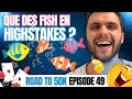 Je joue que des fishs en highstakes road to 50000  ep49
