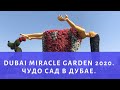 Dubai Miracle Garden 2020|Чудо сад цветов в Дубае