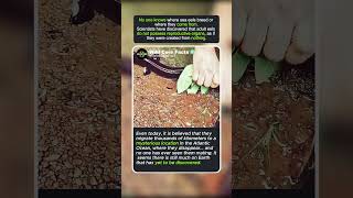 There is a lot for you to discover #amazing #bermudas Profile