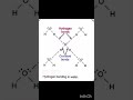 Four Hydrogen bonding in one water molecule 🤔