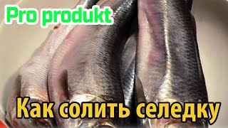 Как солить селедку, что бы не стыдно было поставить на стол