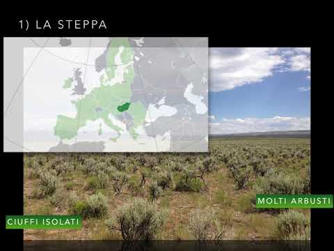 L&rsquo;ambiente della prateria e della steppa