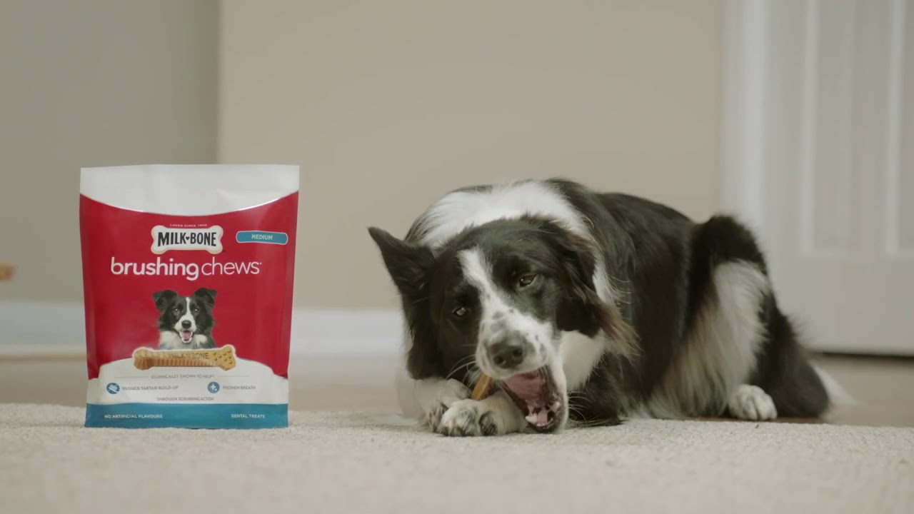 Milk Bone Brushing Chews alt - YouTube
