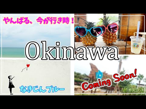 【沖縄北部】“なきじんブルー”の絶景ビーチ＆話題のジャングリア周辺を満喫！やんばる旅・穴場ガイド【沖縄旅行VLOG】【2025年5月】#3
