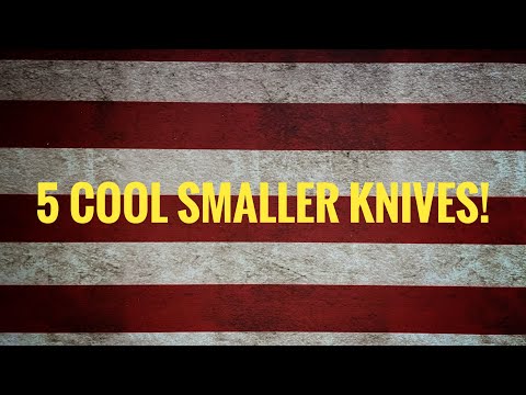 5 Cool, smaller, Primary Carry Knives!!