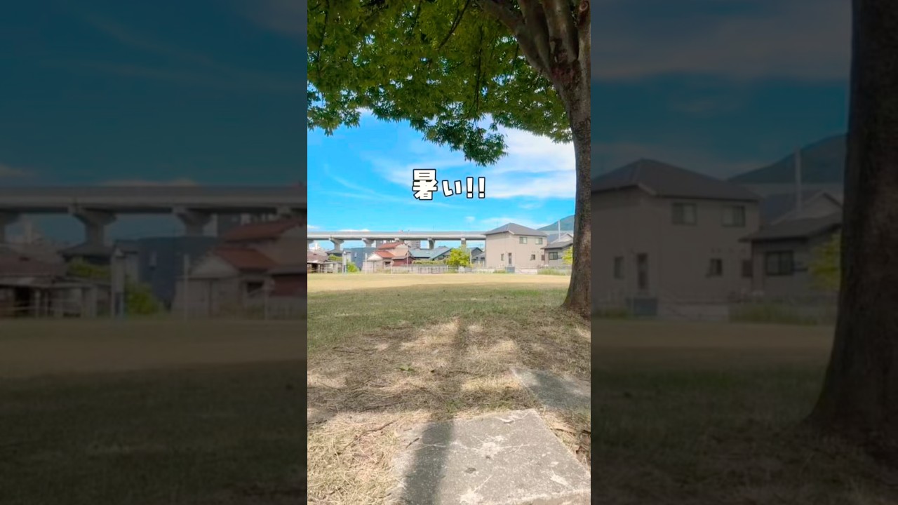 ダッシュ🏃‍♀️💨#shorts #踊ってみた #羽月うずな #vtuber #新人Vtuber
