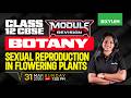 Class 12 CBSE Botany | Sexual Reproduction In Flowering Plants ... | Xylem 12 CBSE