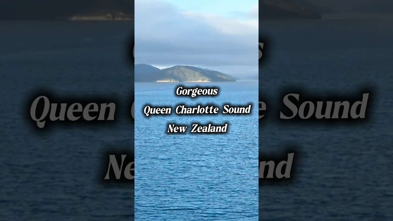 Gorgeous Queen Charlotte Sound