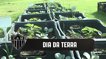Como os resíduos são tratados no Brasil?