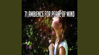 Fall Into Harmony