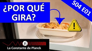 ¿Por qué GIRA el plato del MICROONDAS? | Hago un EXPERIMENTO y lo compruebo