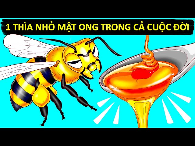Cách Thức Và Lí Do Ong Làm Mật (Cùng Các Sự Thật Khác Về Ong Mà Bạn Vẫn Thắc Mắc) class=