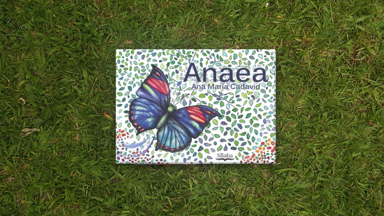 Anaea - YouTube