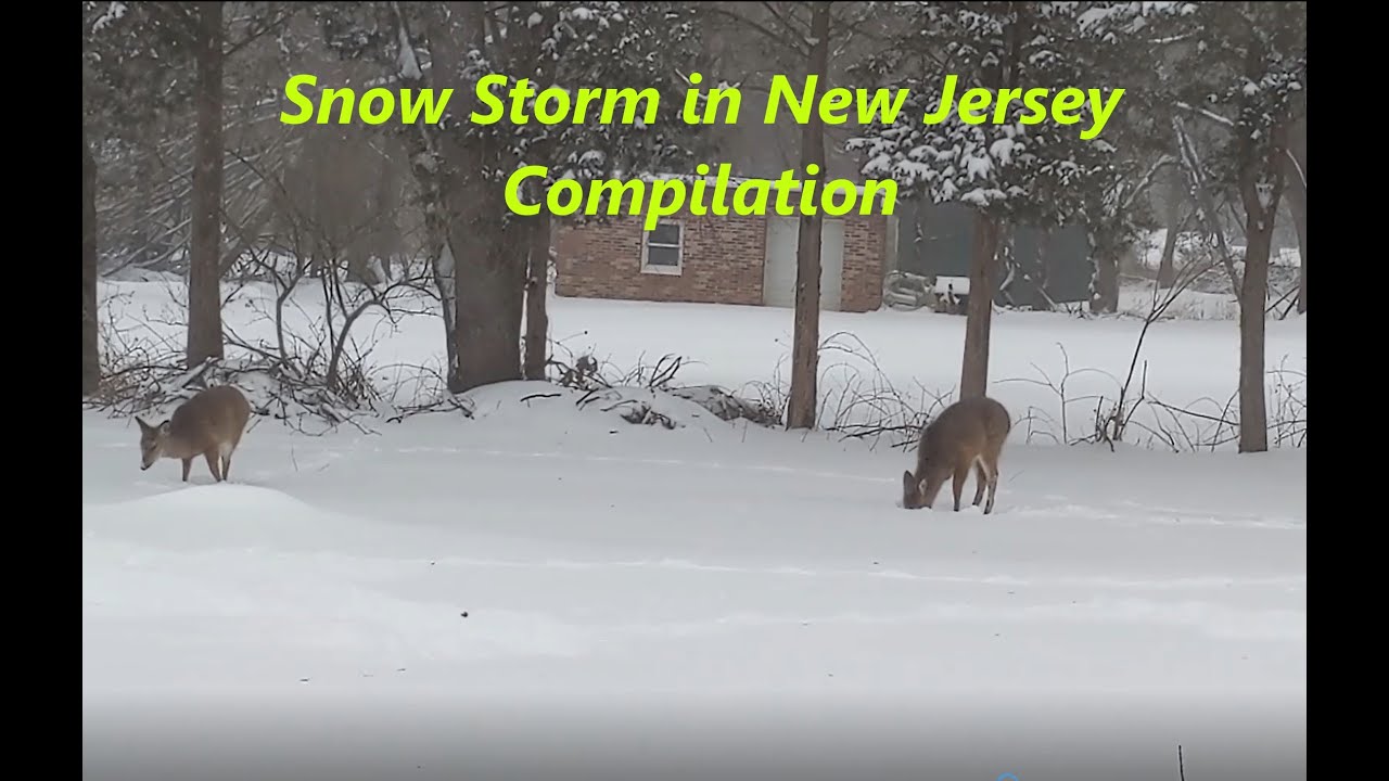 Snow Storm in New Jersey - YouTube