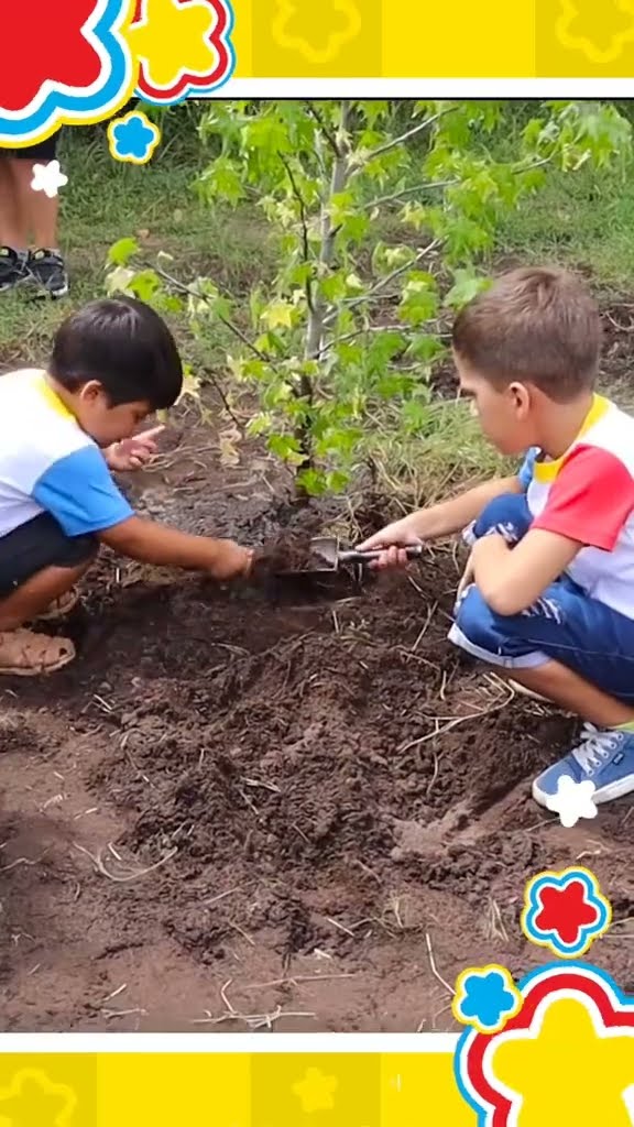 YO PLANTÉ UN ARBOLITO ? #Shorts #PlimPlim #YoPlanteUnArbolito