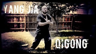Yang Jia Qigong