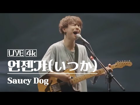 Saucy Dog - itsuka(いつか)🎸 Live 4K VIDEO Korean lyrics